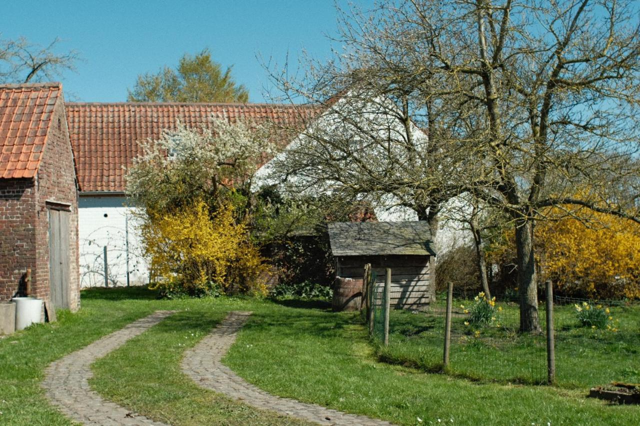 In Den Akker Villa Oudenaarde Exterior photo